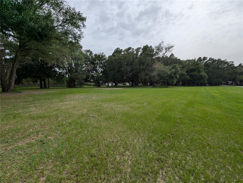18302 Hanna Road Lutz, FL 33549 - Photo 40 of 58 a view of outdoor space and yard