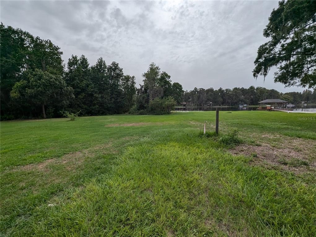18302 Hanna Road Lutz, FL 33549 - Photo 43 of 58 a view of field with tall trees
