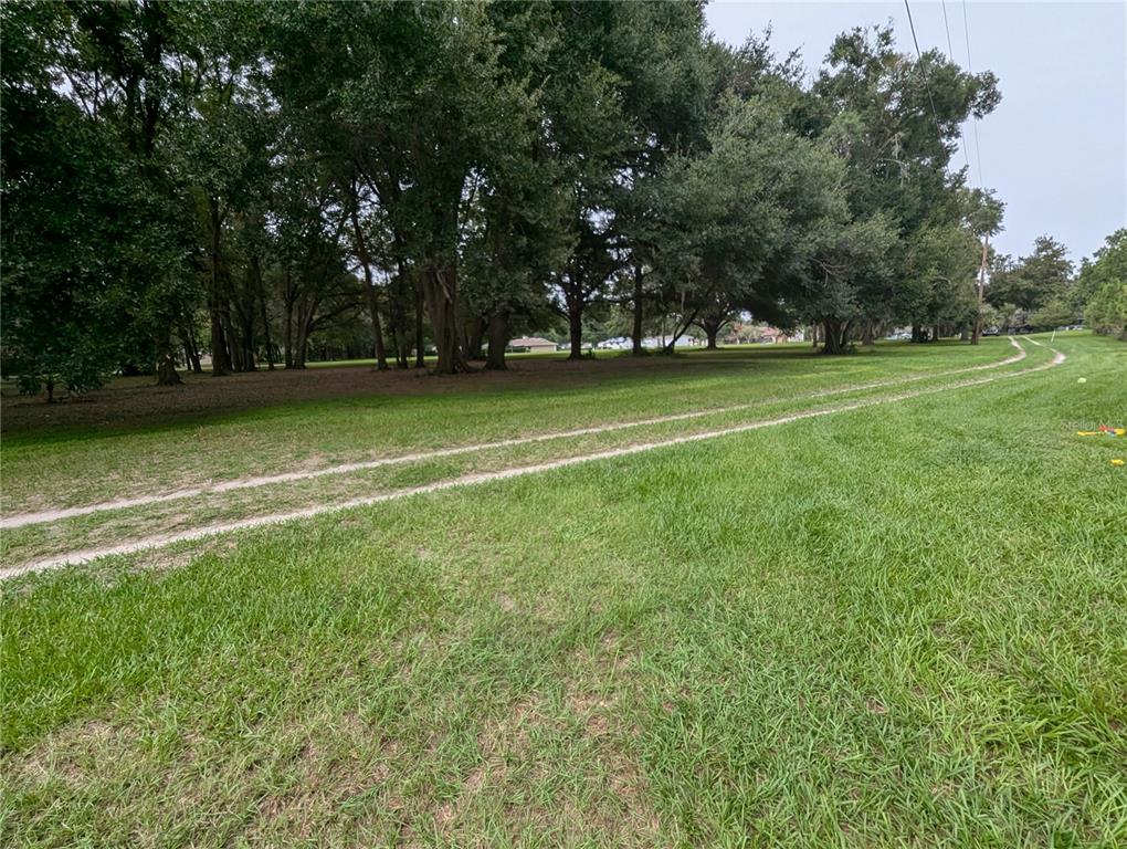 18302 Hanna Road Lutz, FL 33549 - Photo 46 of 58 a view of a field of grass and trees