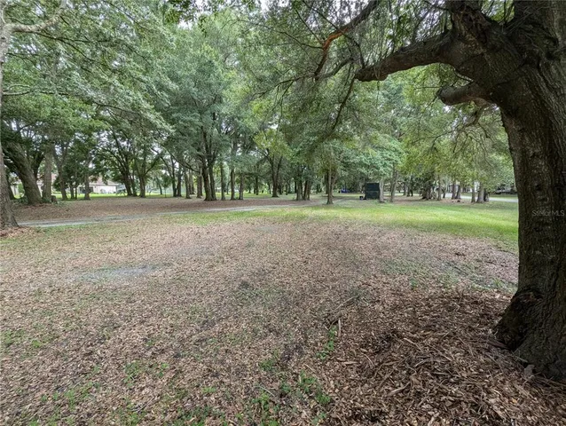 a view of a park with trees in the background