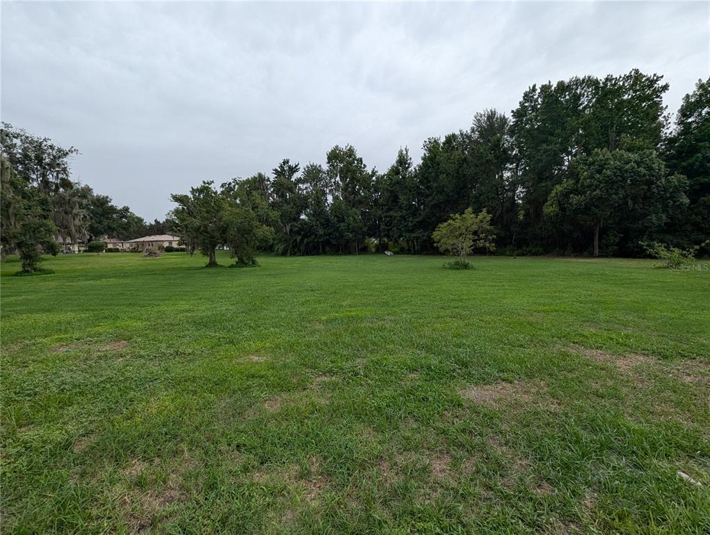 18302 Hanna Road Lutz, FL 33549 - Photo 50 of 58 a view of a field of grass and trees