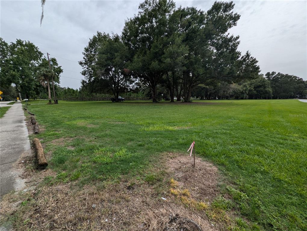 18302 Hanna Road Lutz, FL 33549 - Photo 51 of 58 a backyard of a house with lots of green space