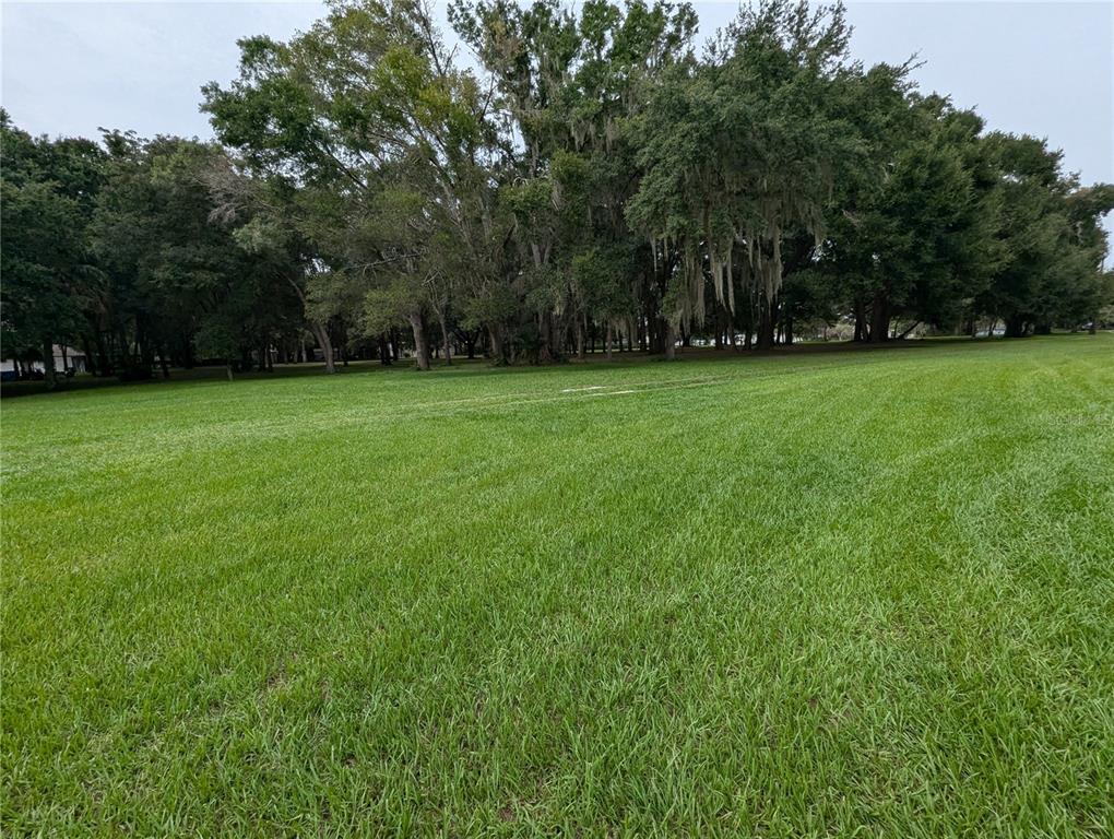 18302 Hanna Road Lutz, FL 33549 - Photo 54 of 58 a view of yard with green space
