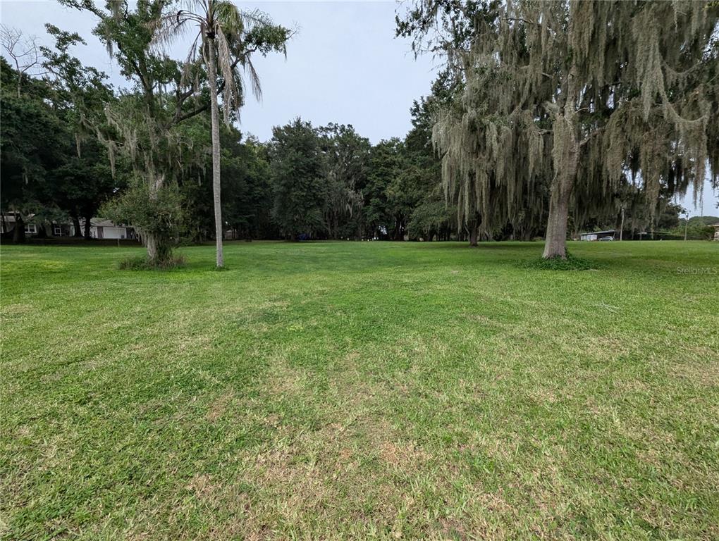 18302 Hanna Road Lutz, FL 33549 - Photo 58 of 58 a view of field with trees in the background