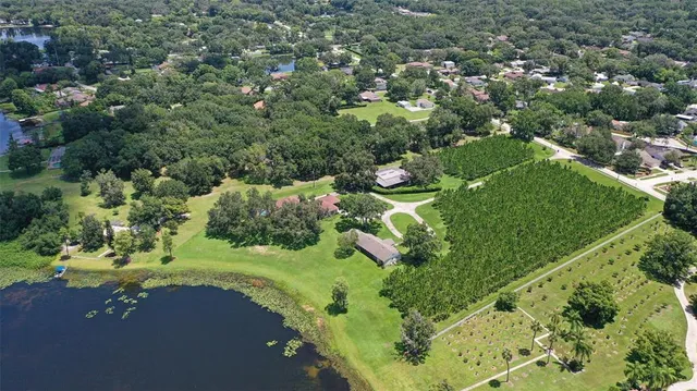 a view of a garden with a tree