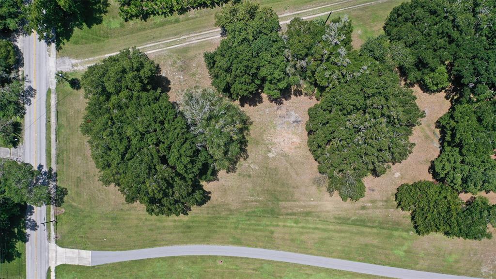 18302 Hanna Road Lutz, FL 33549 - Photo 7 of 58 a view of a garden