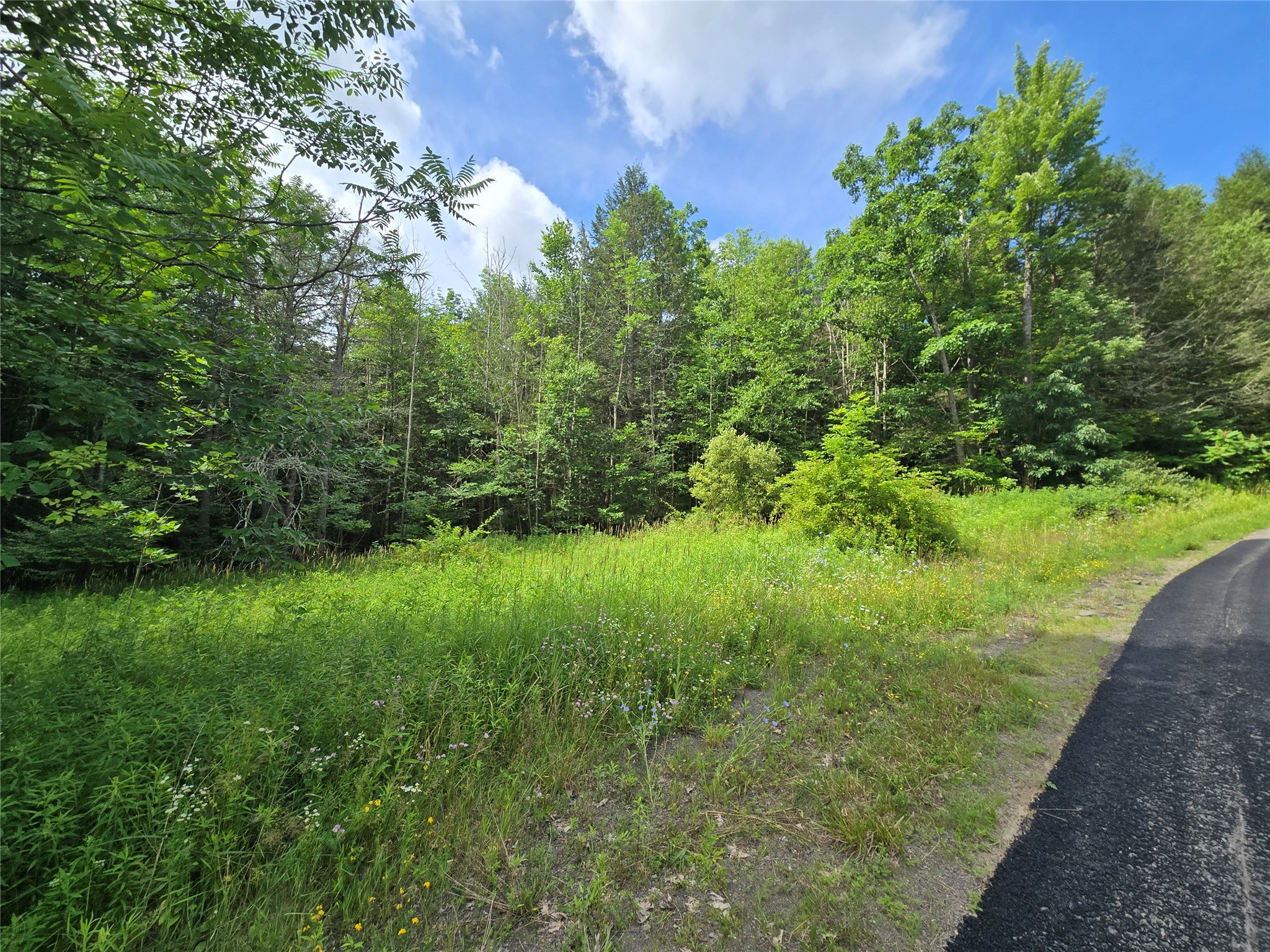 143 Swift Road, Unit 3 Binghamton, NY 13905 - Photo 25 of 31 Gallery Image 25