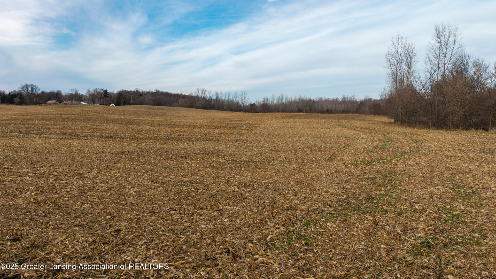 Vl Windsor Highway Dimondale, MI 48821 - Photo 23 of 31 Windsor_Hwy_37_ACRE_BROCK-23