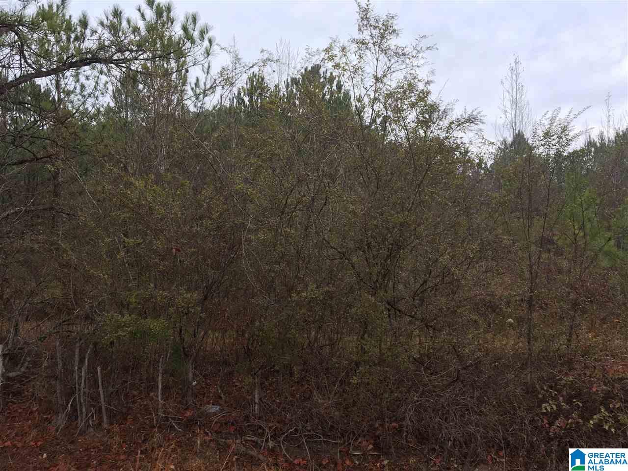 Old Choccolocco Road, Unit 97 Weaver, AL 36277 - Photo 19 of 27