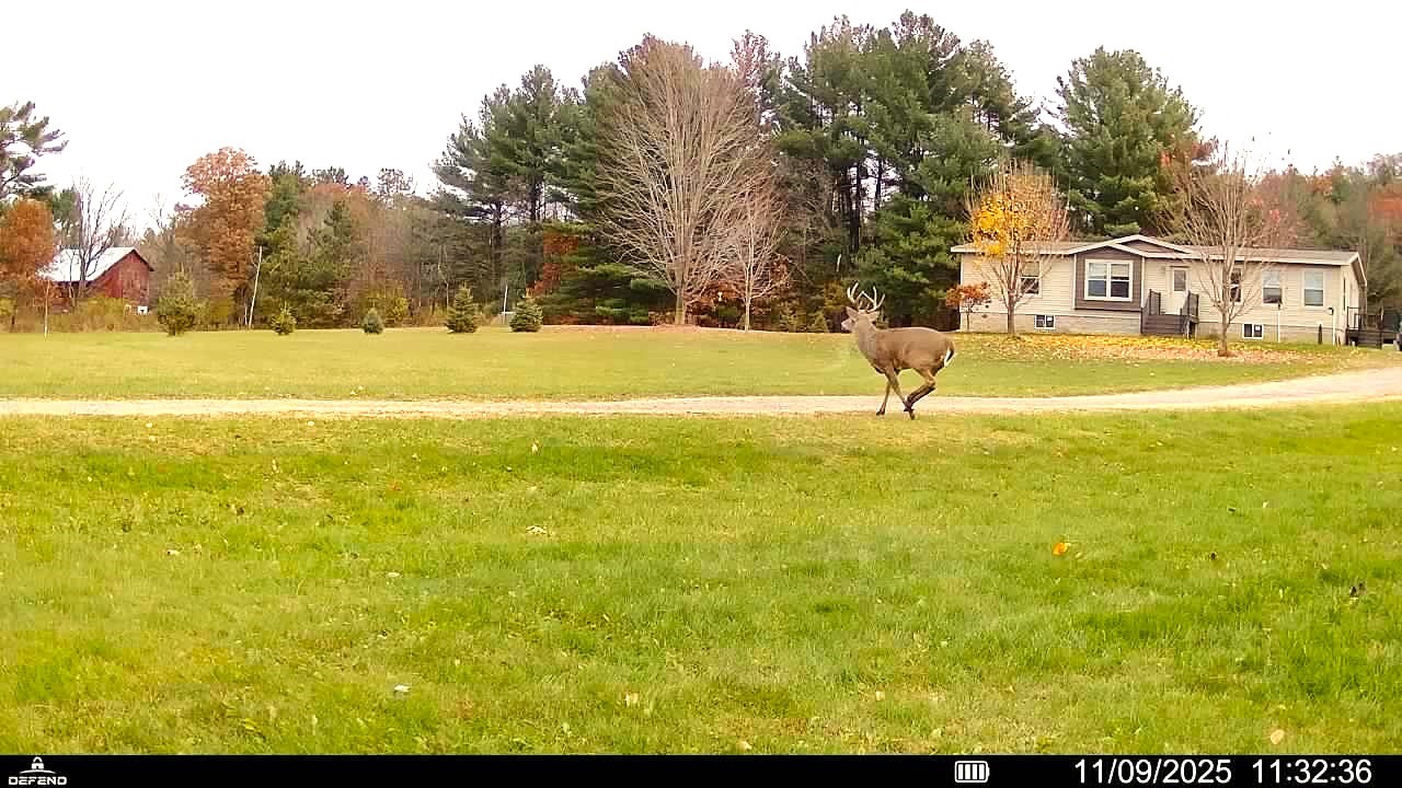 N7324 South Sechlerville Road Hixton, WI 54635 - Photo 38 of 40