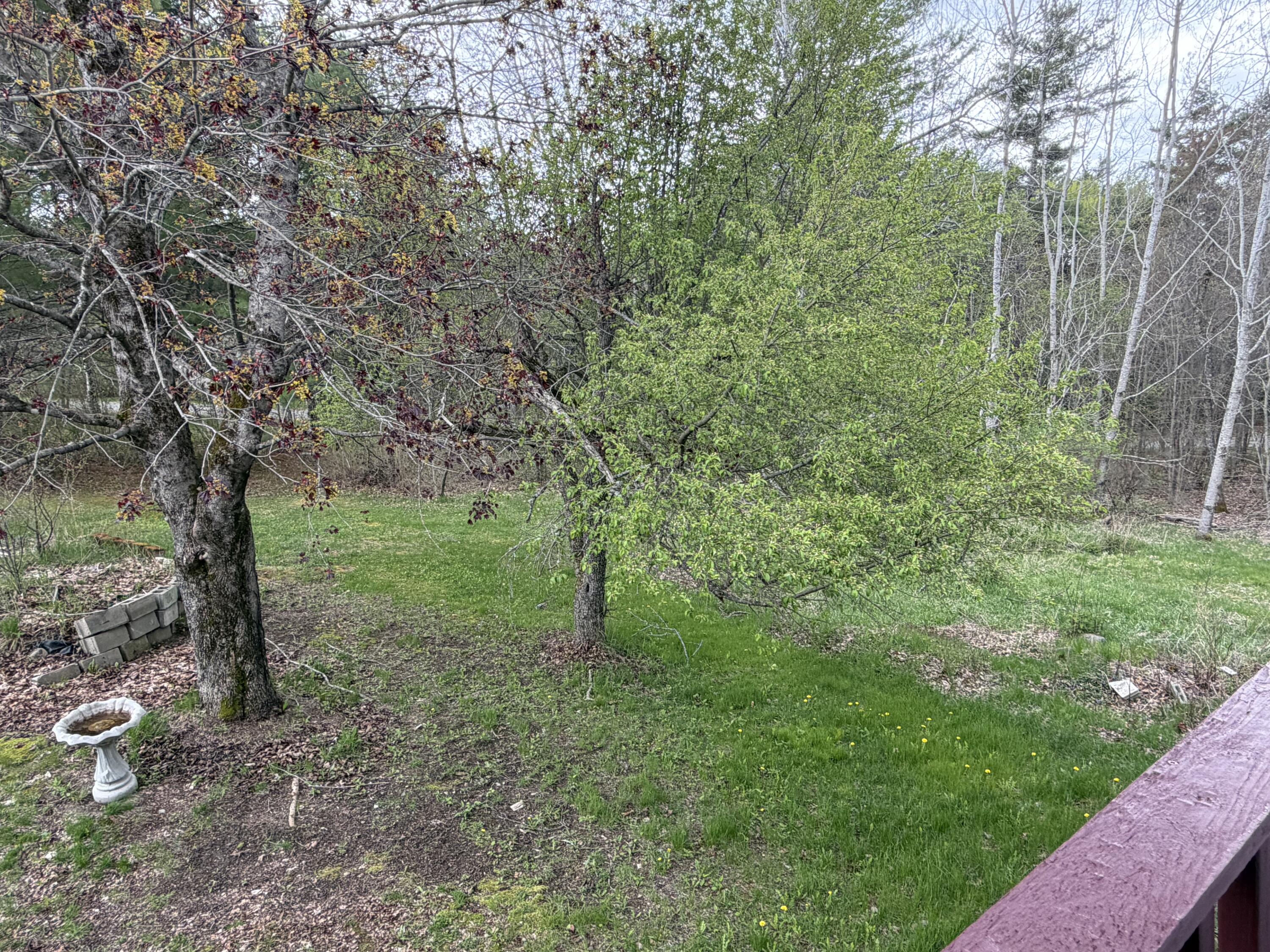 838 Cardville Road Greenbush, ME 04418 - Photo 31 of 34 IMG_3444