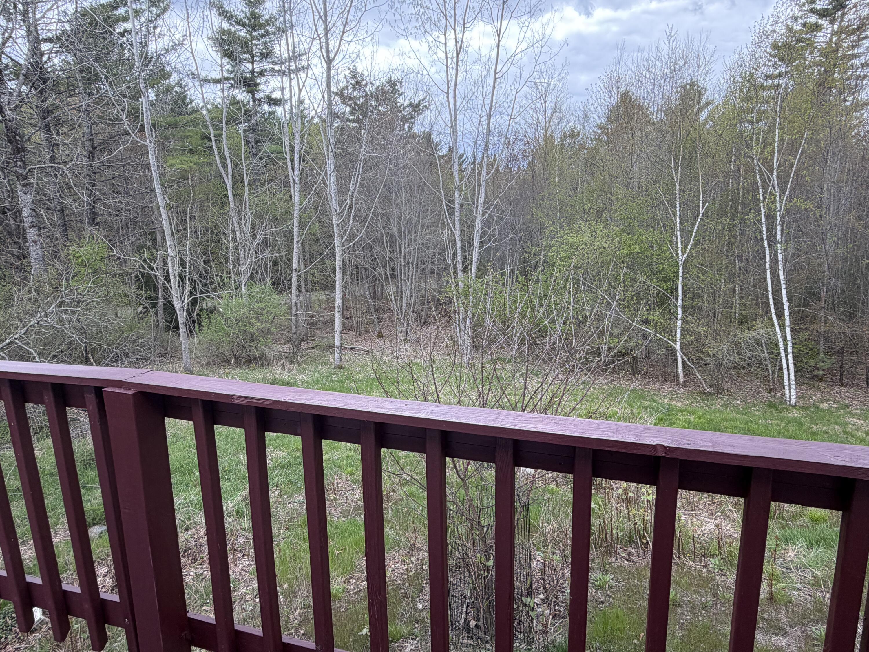 838 Cardville Road Greenbush, ME 04418 - Photo 33 of 34 IMG_3442