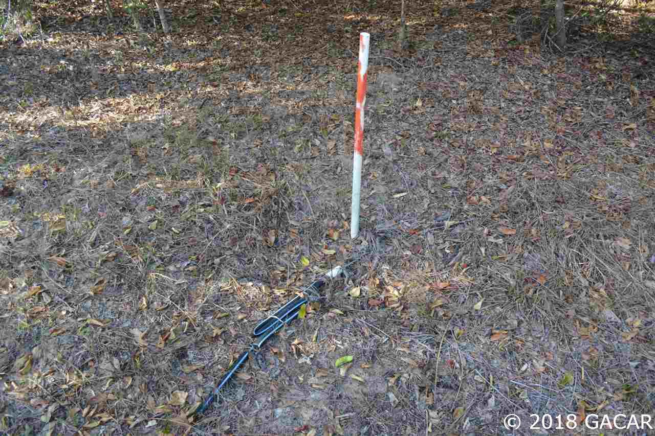 129 Mason Road Melrose, FL 32666 - Photo 13 of 27 Gallery Image 13