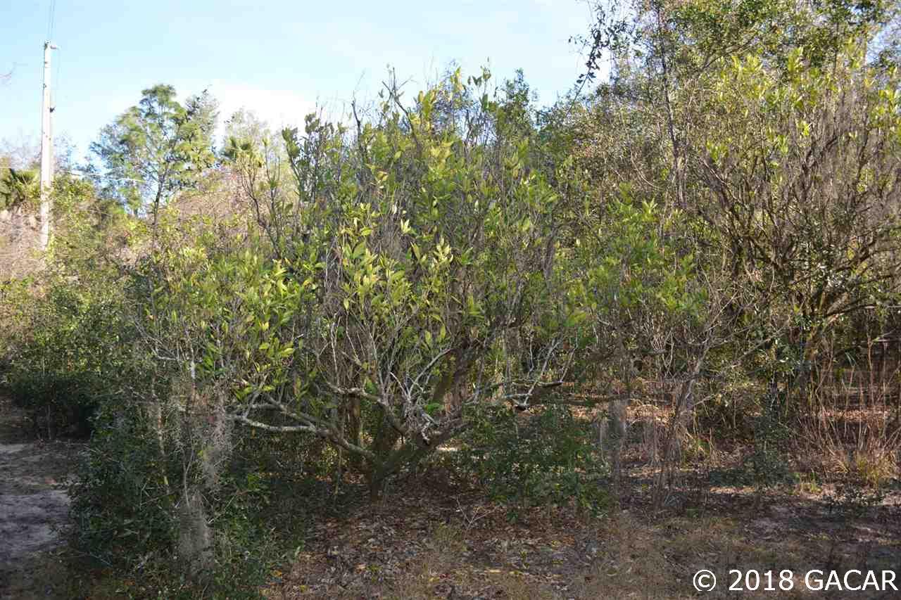 129 Mason Road Melrose, FL 32666 - Photo 17 of 27 Gallery Image 17