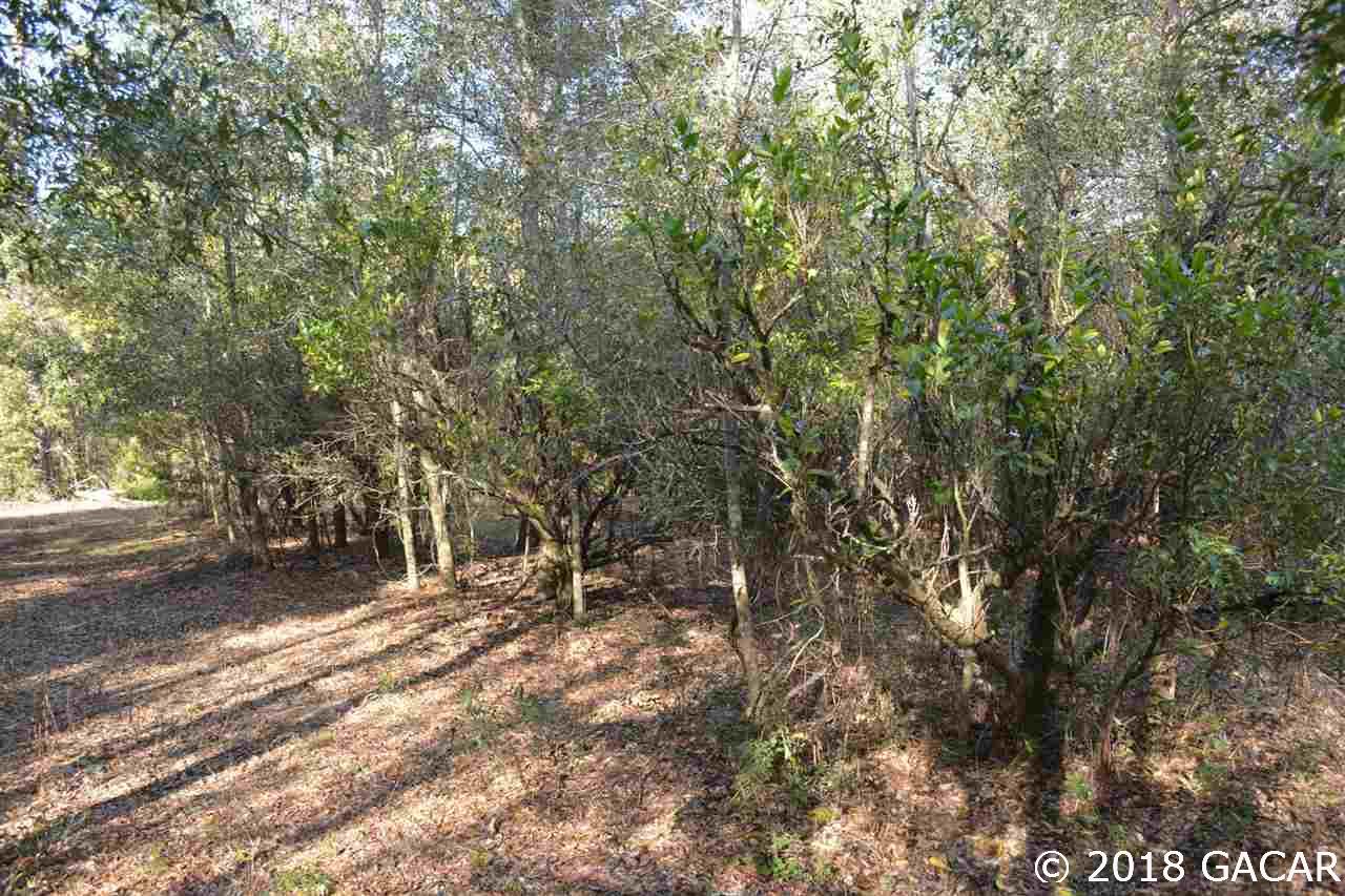 129 Mason Road Melrose, FL 32666 - Photo 21 of 27 Gallery Image 21