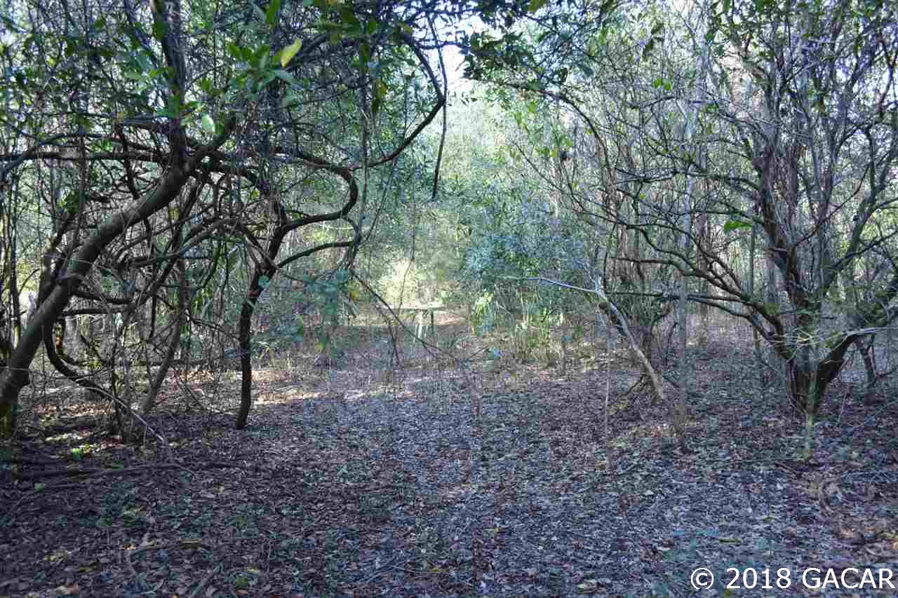 129 Mason Road Melrose, FL 32666 - Photo 4 of 27 Gallery Image 4