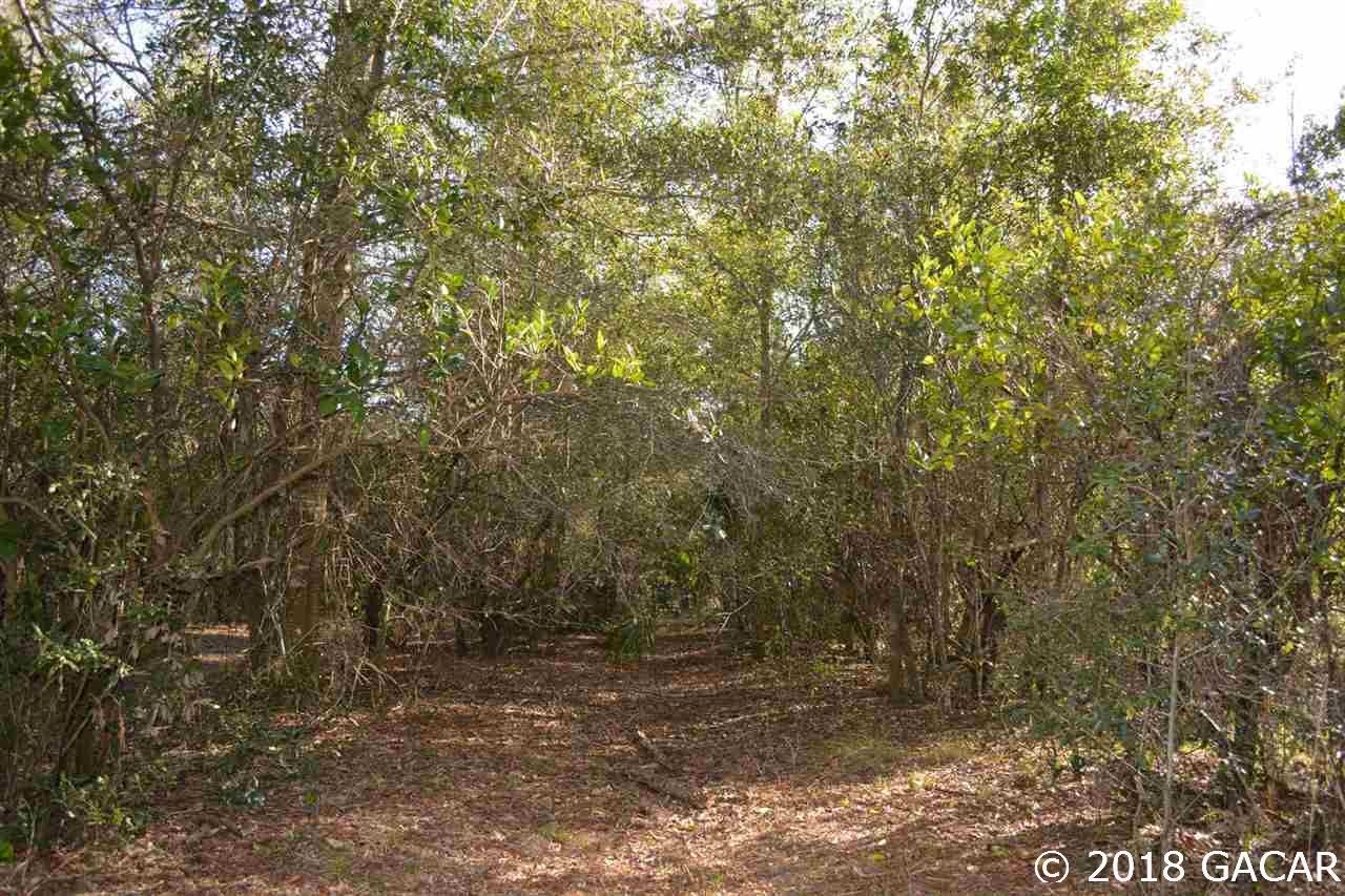 129 Mason Road Melrose, FL 32666 - Photo 6 of 27 Gallery Image 6