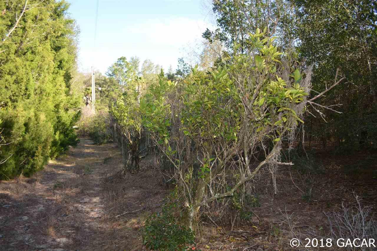 129 Mason Road Melrose, FL 32666 - Photo 10 of 27 Gallery Image 10