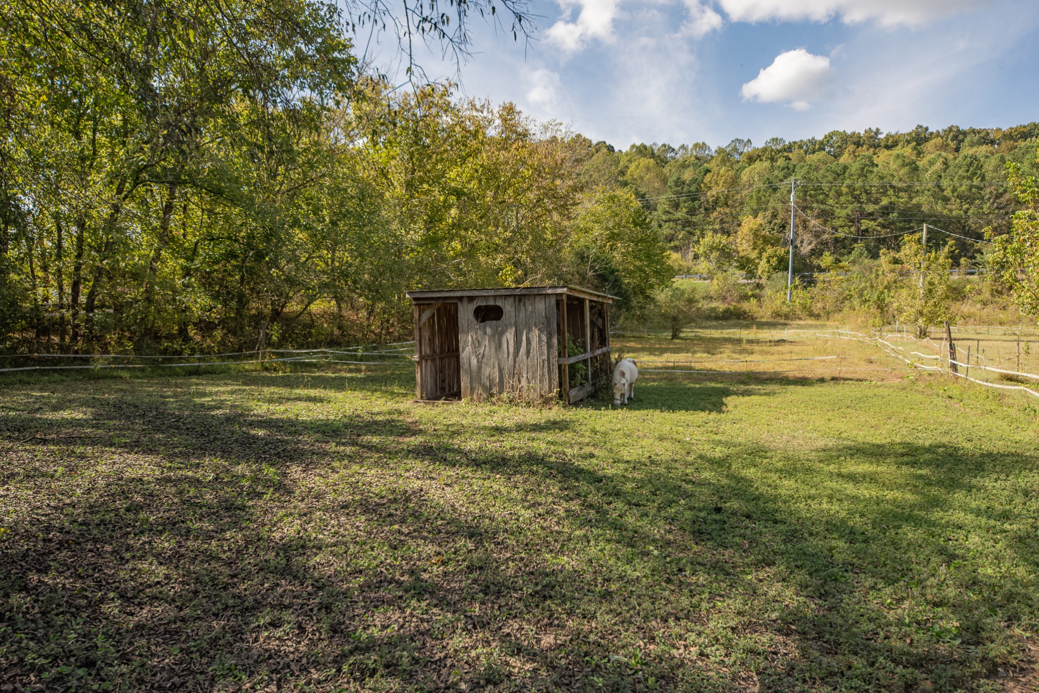 161 Oliver Branch Road Pulaski, TN 38478 - Photo 48 of 88