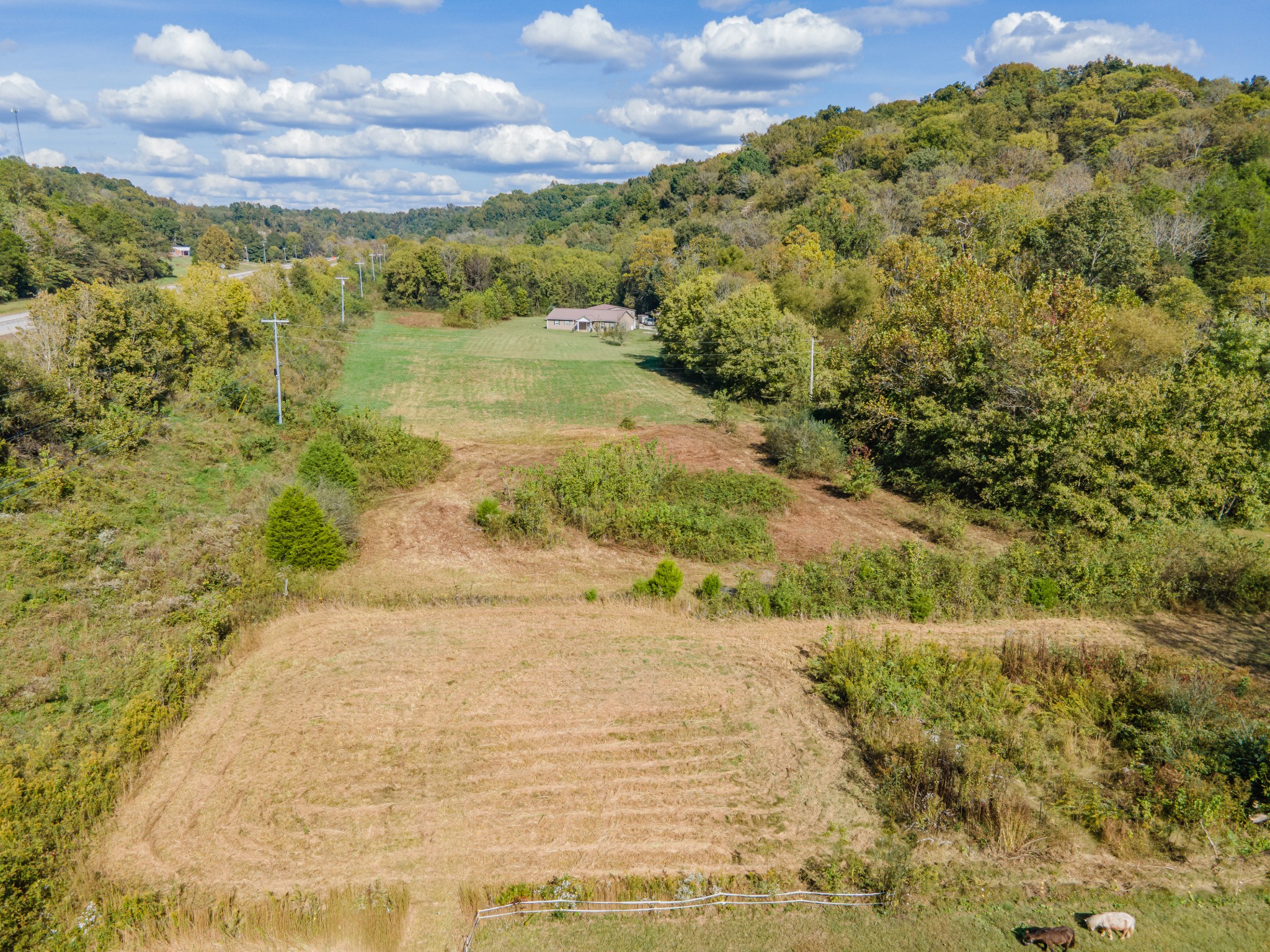 161 Oliver Branch Road Pulaski, TN 38478 - Photo 56 of 88