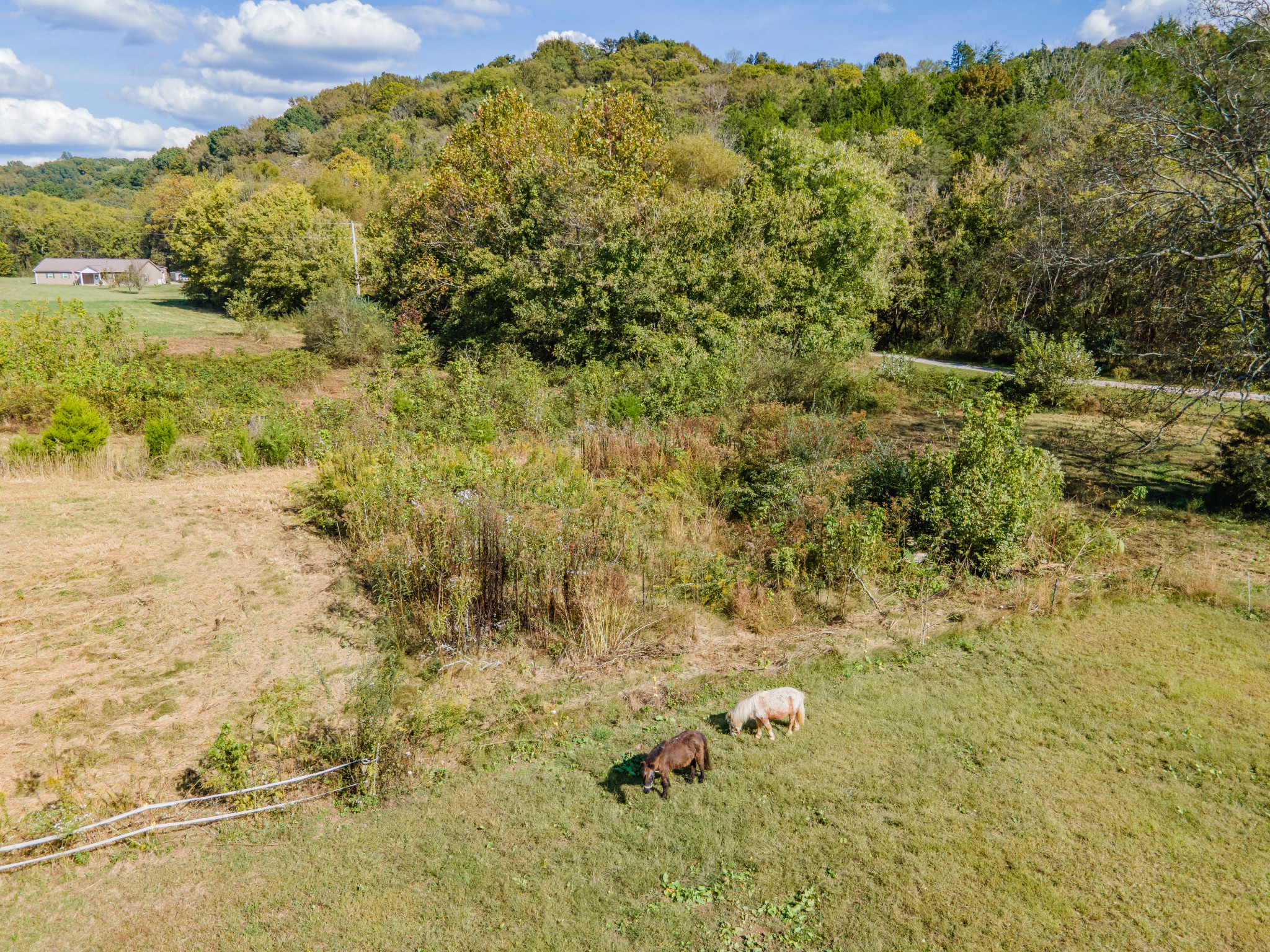 161 Oliver Branch Road Pulaski, TN 38478 - Photo 57 of 88