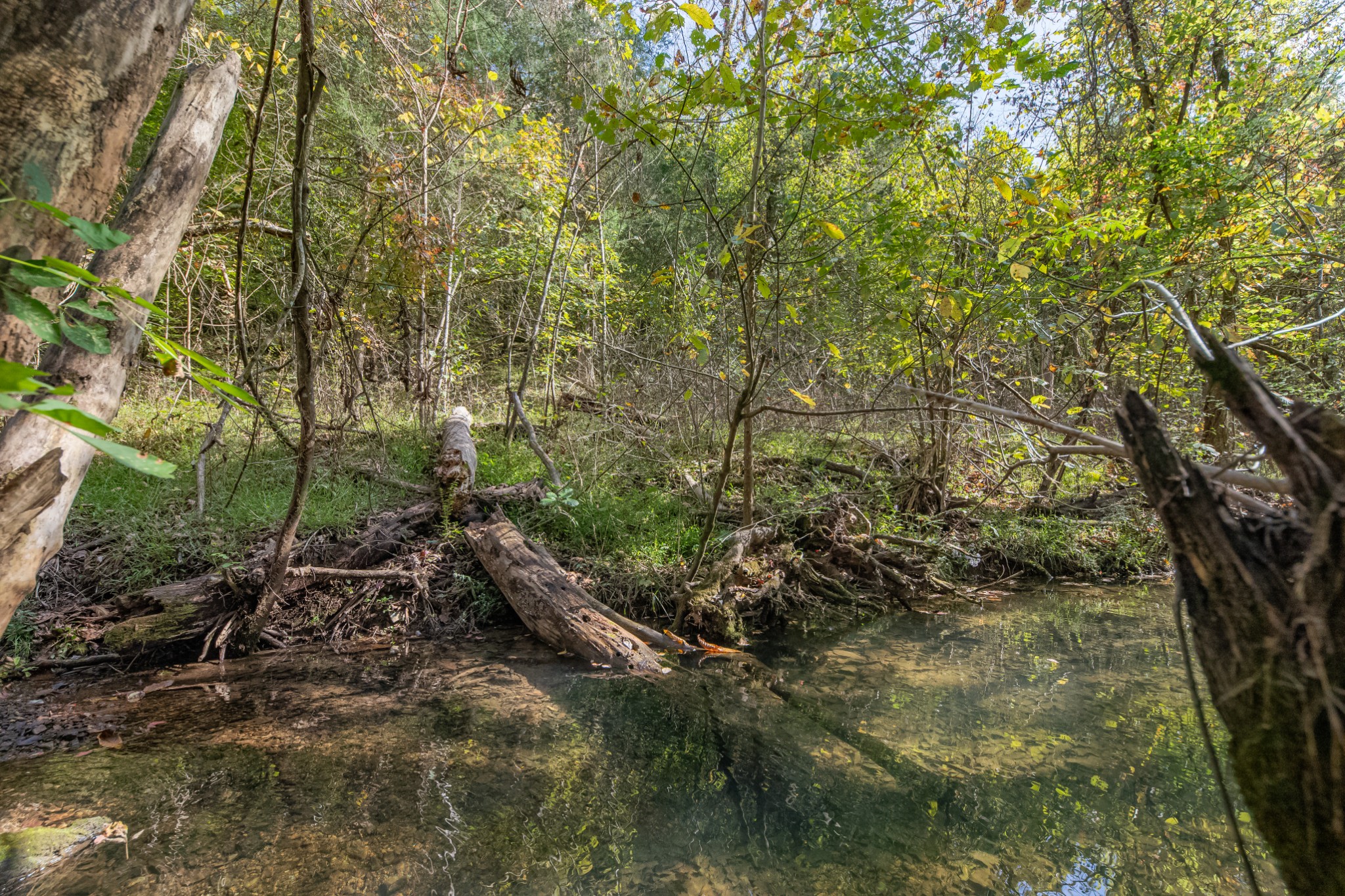 161 Oliver Branch Road Pulaski, TN 38478 - Photo 74 of 88