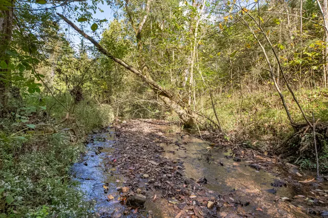 $459,000 | 161 Oliver Branch Road, Pulaski, TN 38478