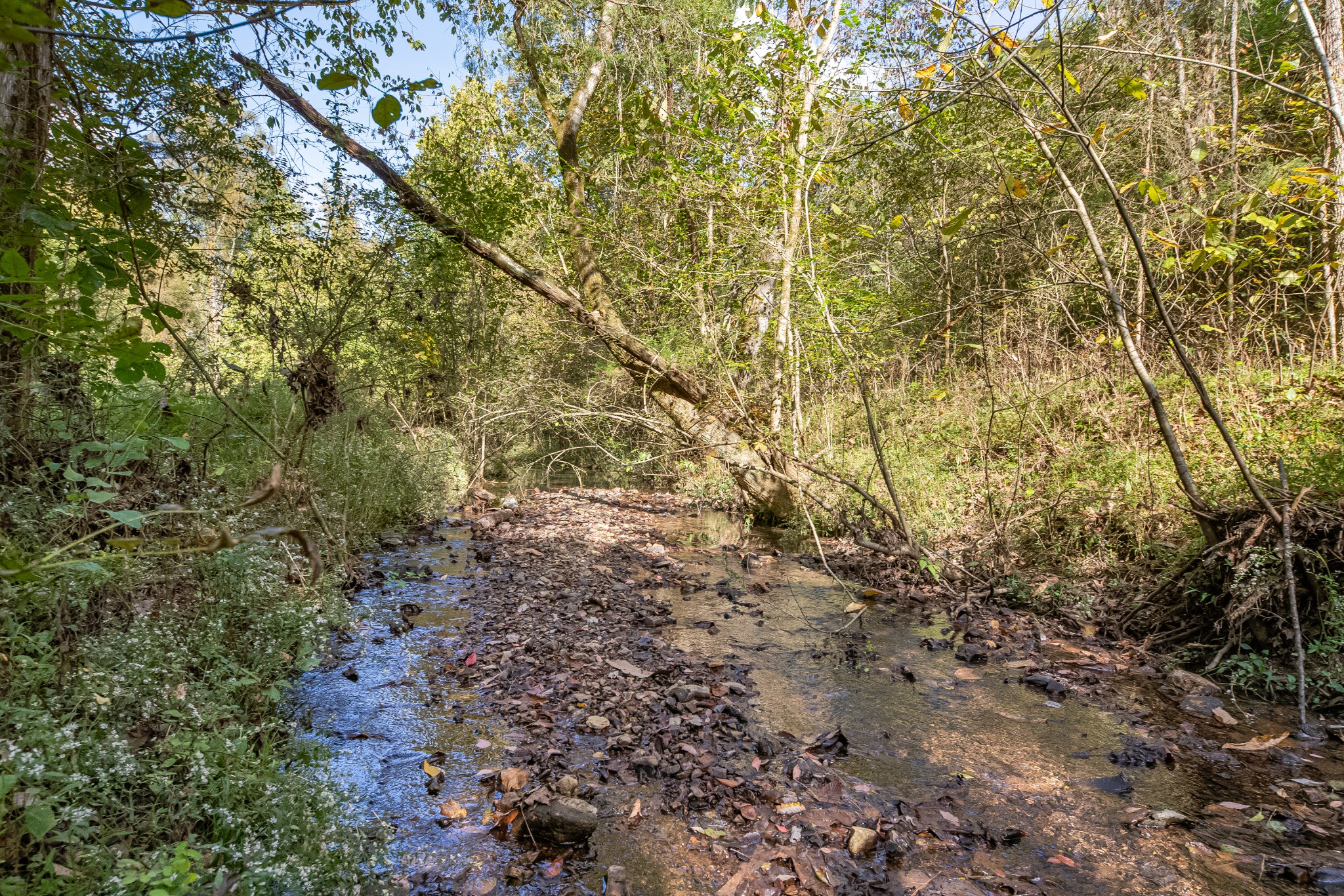 161 Oliver Branch Road Pulaski, TN 38478 - Photo 77 of 88