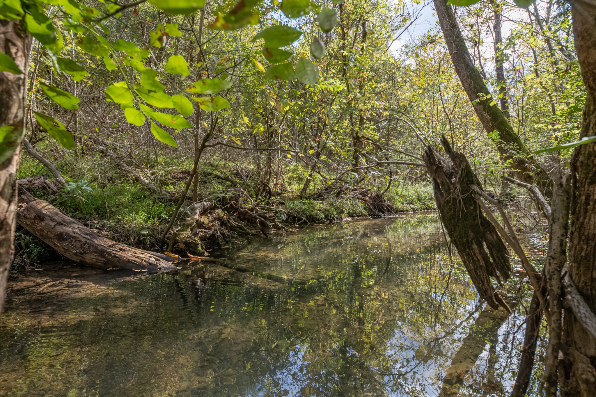 161 Oliver Branch Road Pulaski, TN 38478 - Photo 78 of 88