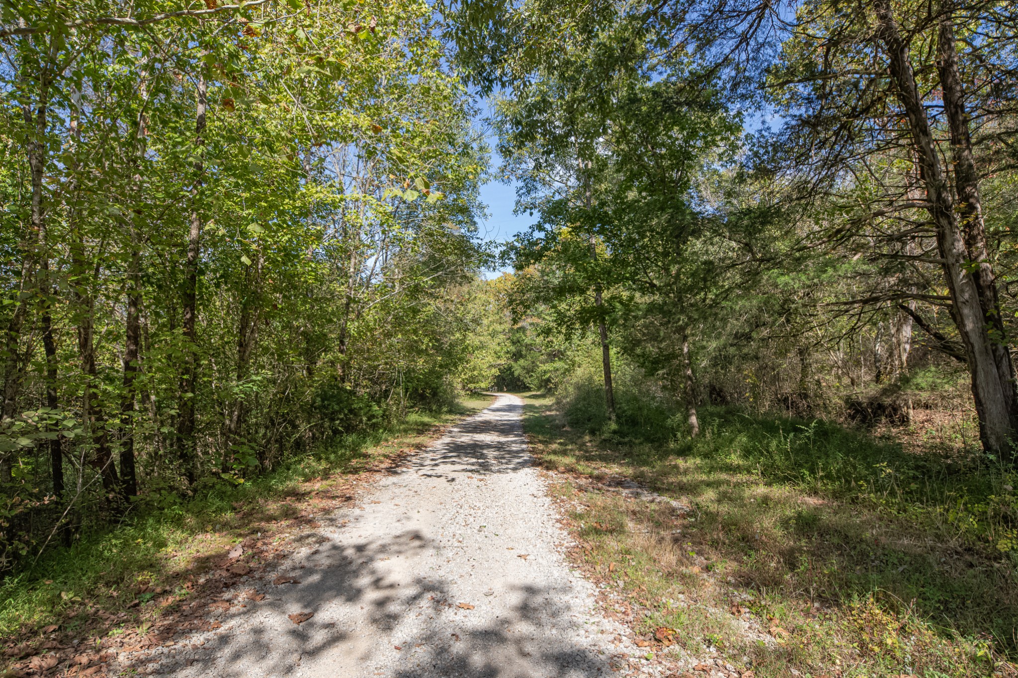 161 Oliver Branch Road Pulaski, TN 38478 - Photo 79 of 88