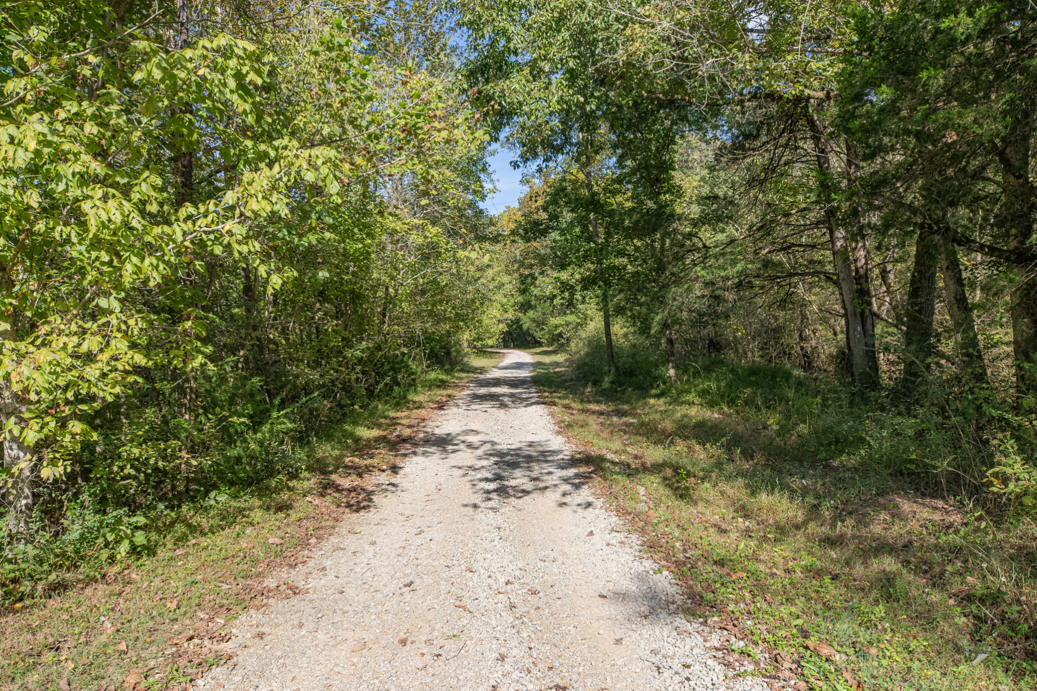 161 Oliver Branch Road Pulaski, TN 38478 - Photo 80 of 88