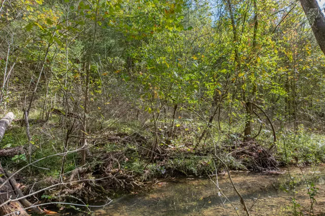 $459,000 | 161 Oliver Branch Road, Pulaski, TN 38478