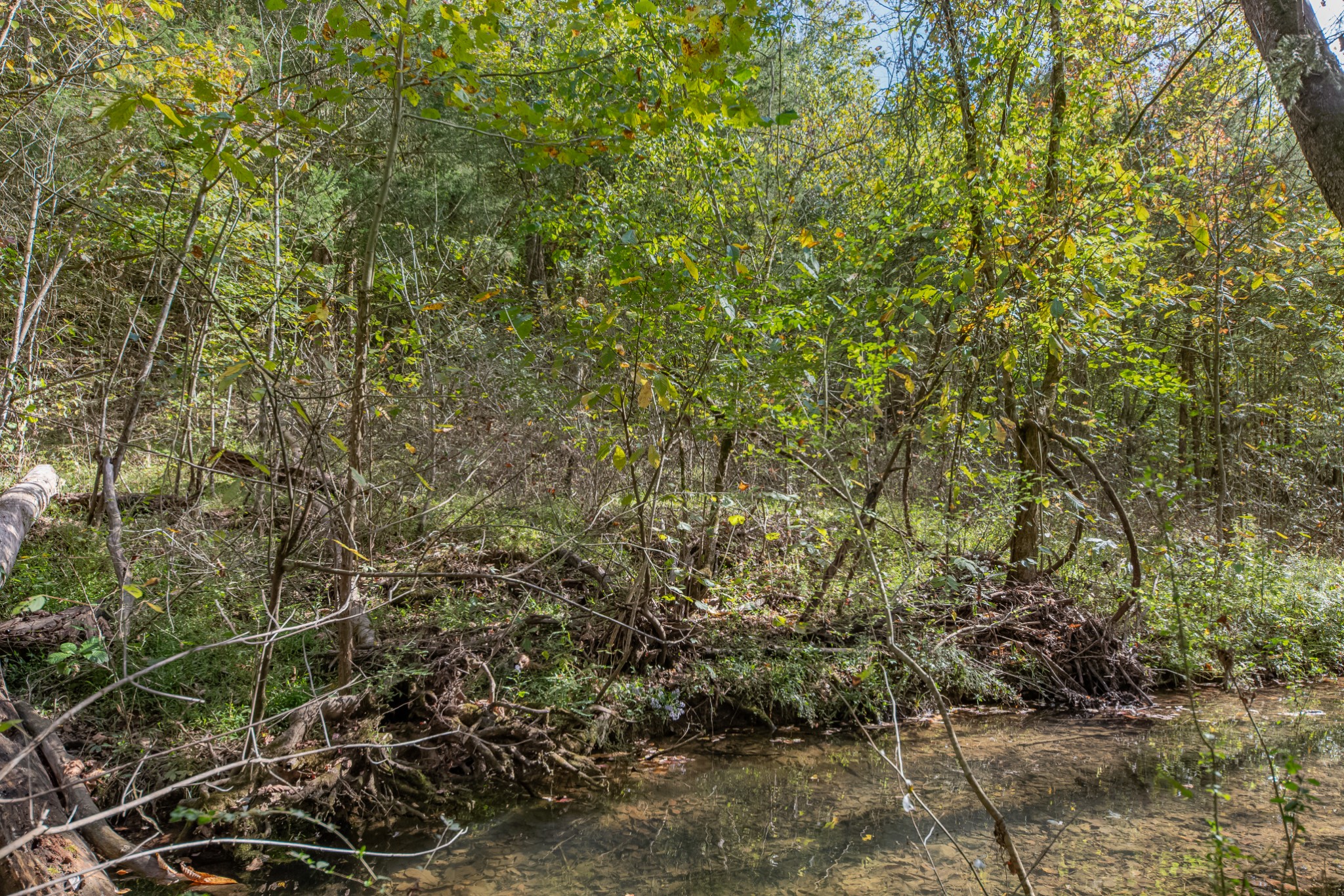 161 Oliver Branch Road Pulaski, TN 38478 - Photo 82 of 88