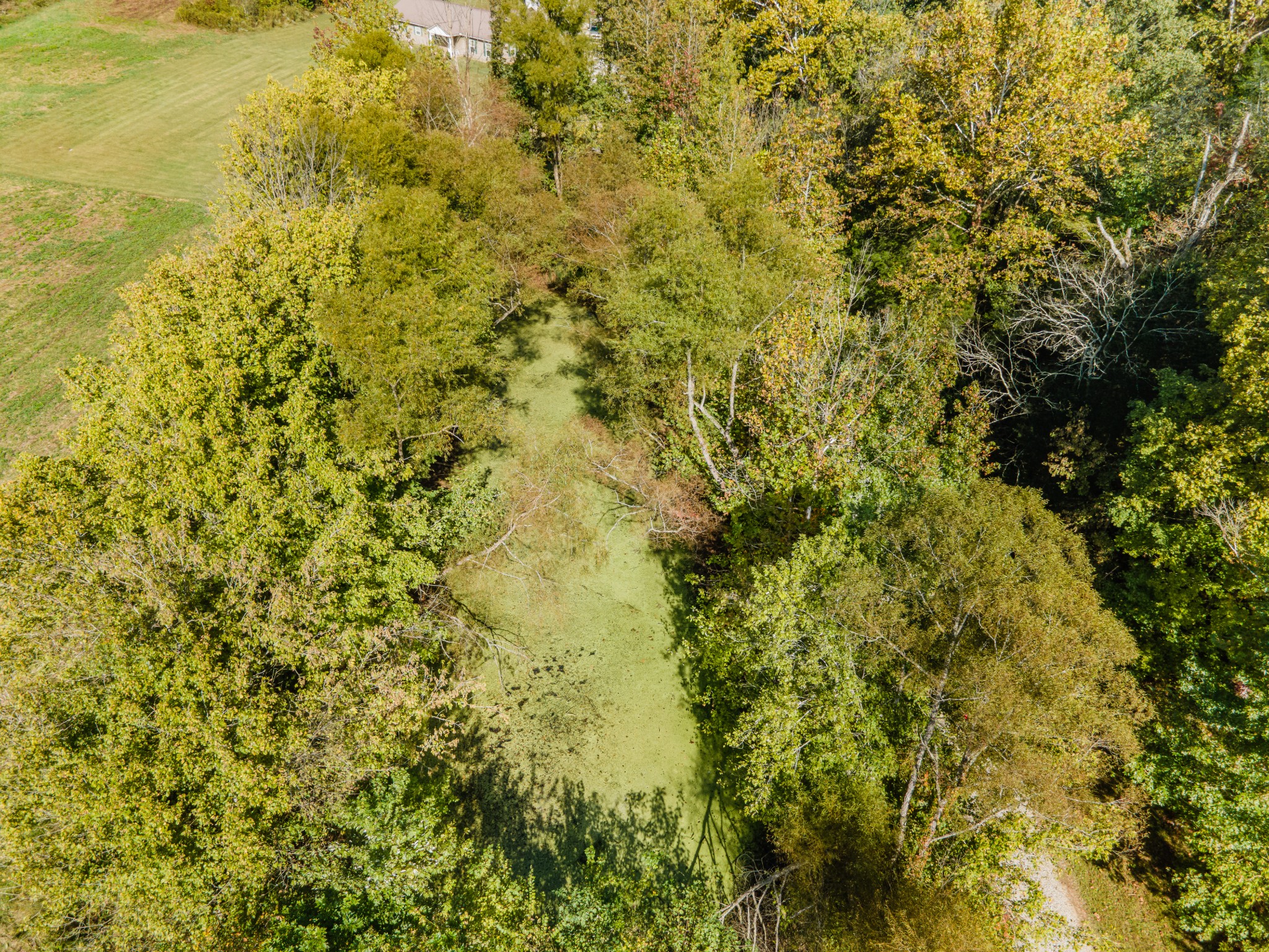 161 Oliver Branch Road Pulaski, TN 38478 - Photo 83 of 88