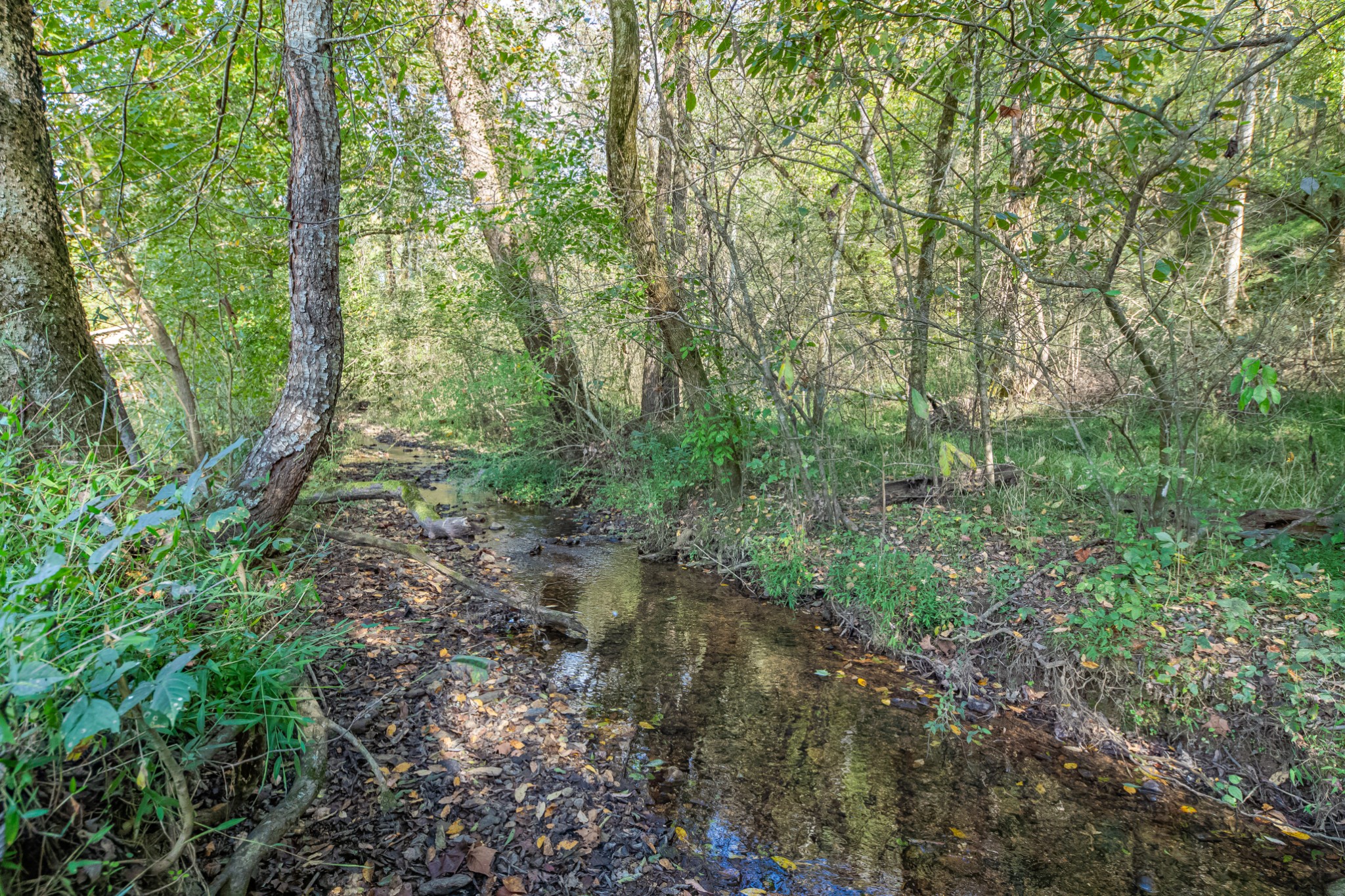 161 Oliver Branch Road Pulaski, TN 38478 - Photo 88 of 88