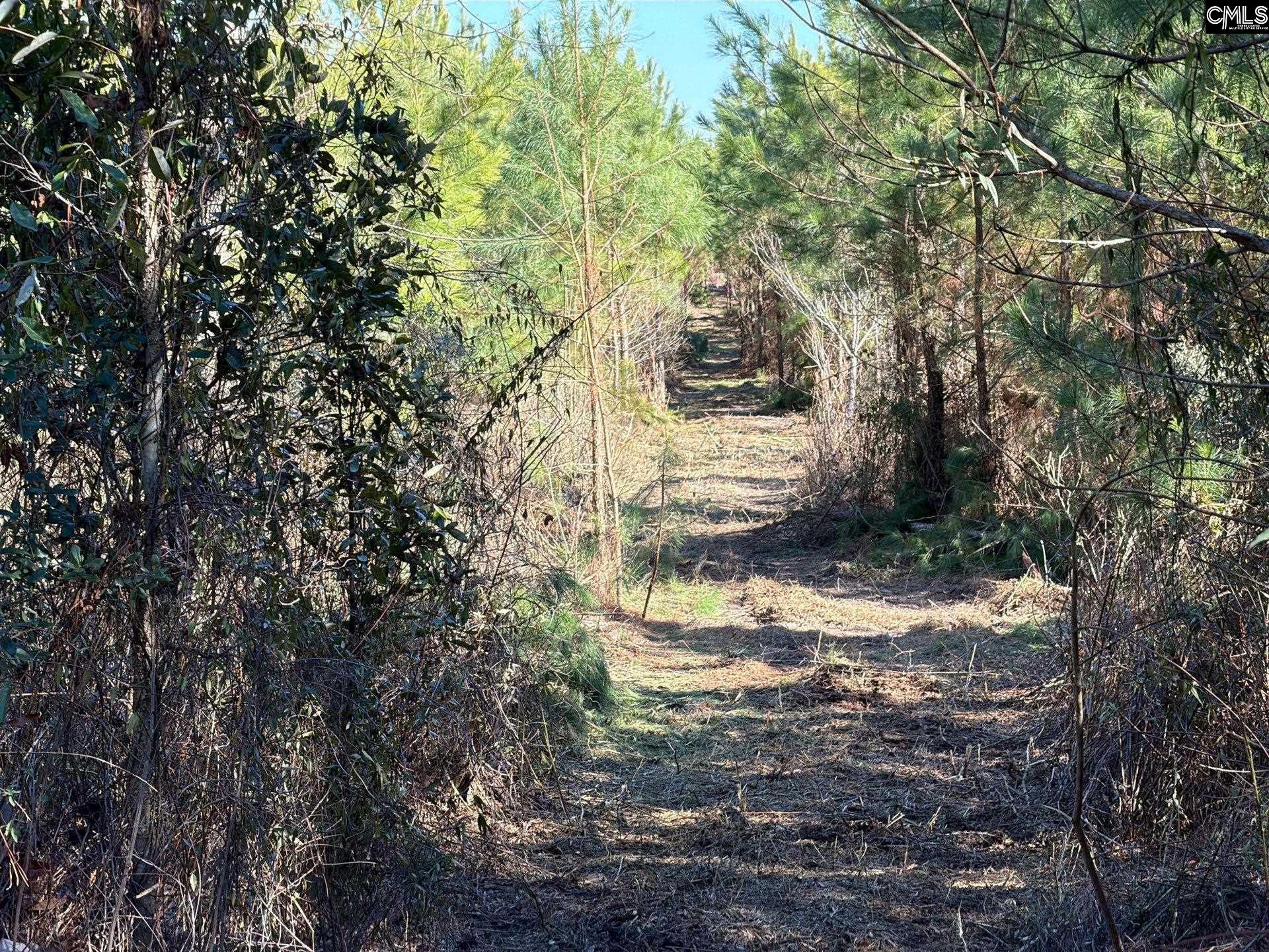 8 Brunson Teal Road, Unit BFF II 8 Patrick, SC 29584 - Photo 11 of 25