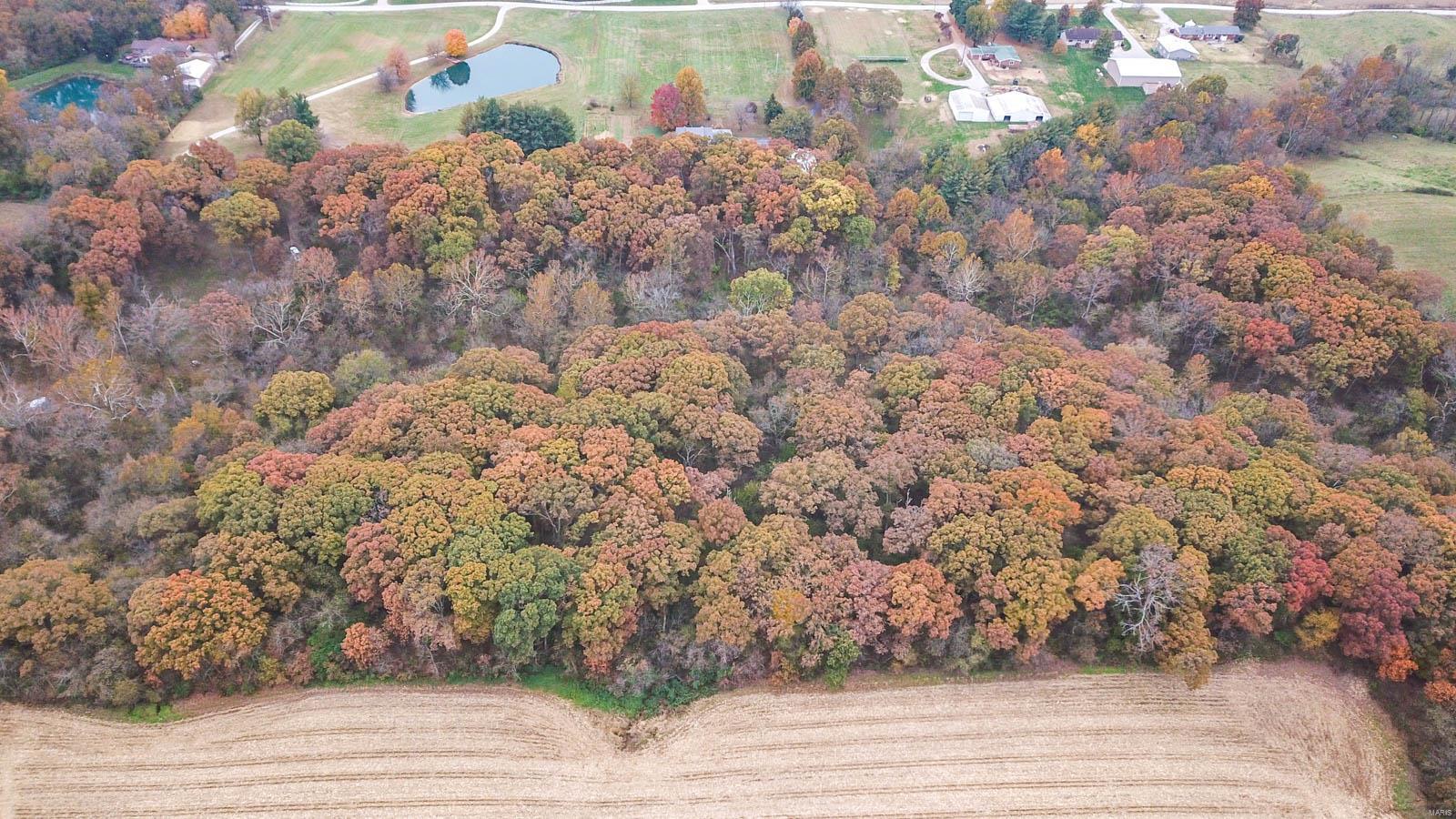 4406 Titchenal Road Brighton, IL 62012 - Photo 5 of 74