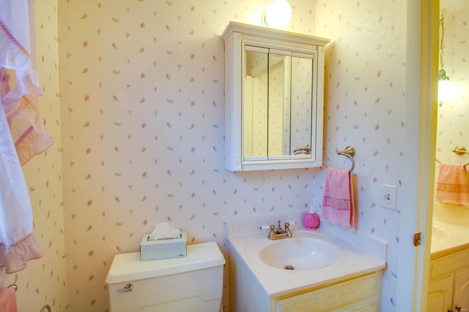 4406 Titchenal Road Brighton, IL 62012 - Photo 70 of 74