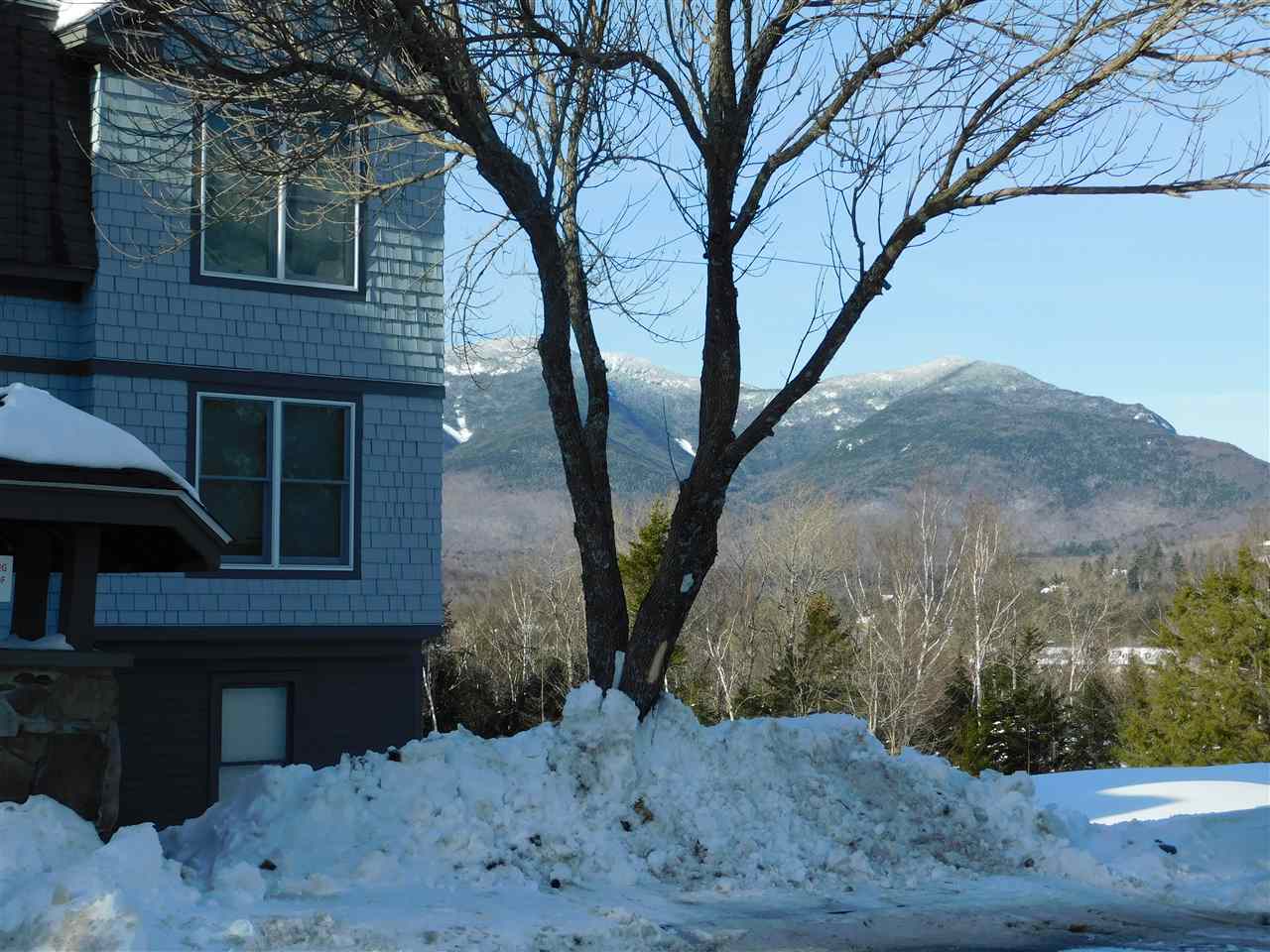 98 Noon Peak Road, Unit E4 Waterville Valley, NH 03215 - Photo 28 of 29 Gallery Image 28