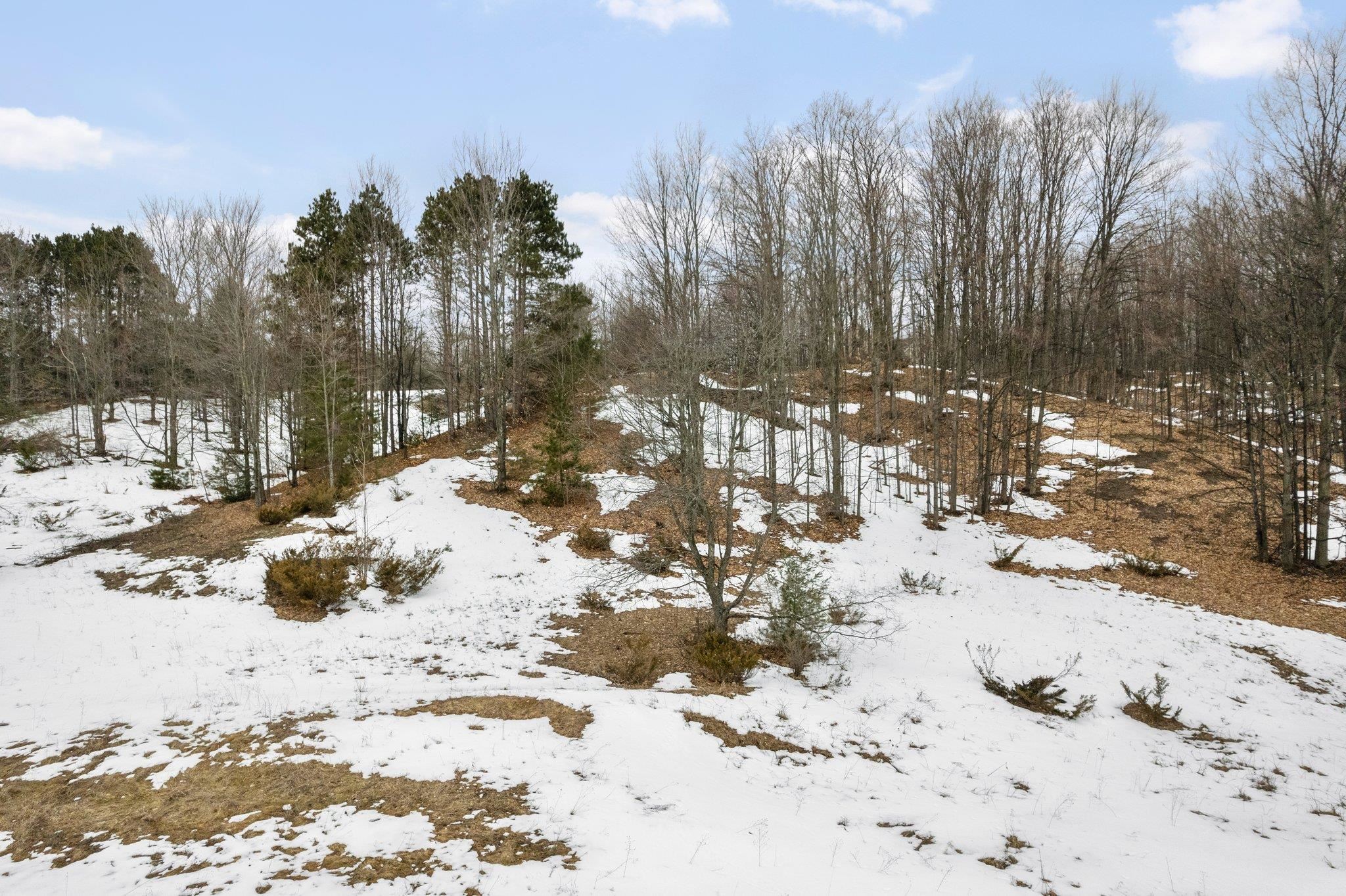 5 East Meander Lane Cedar, MI 49621 - Photo 14 of 36