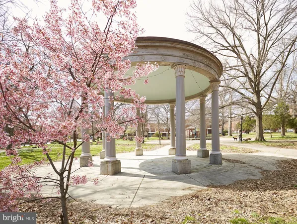 a view of outdoor space yard and tree