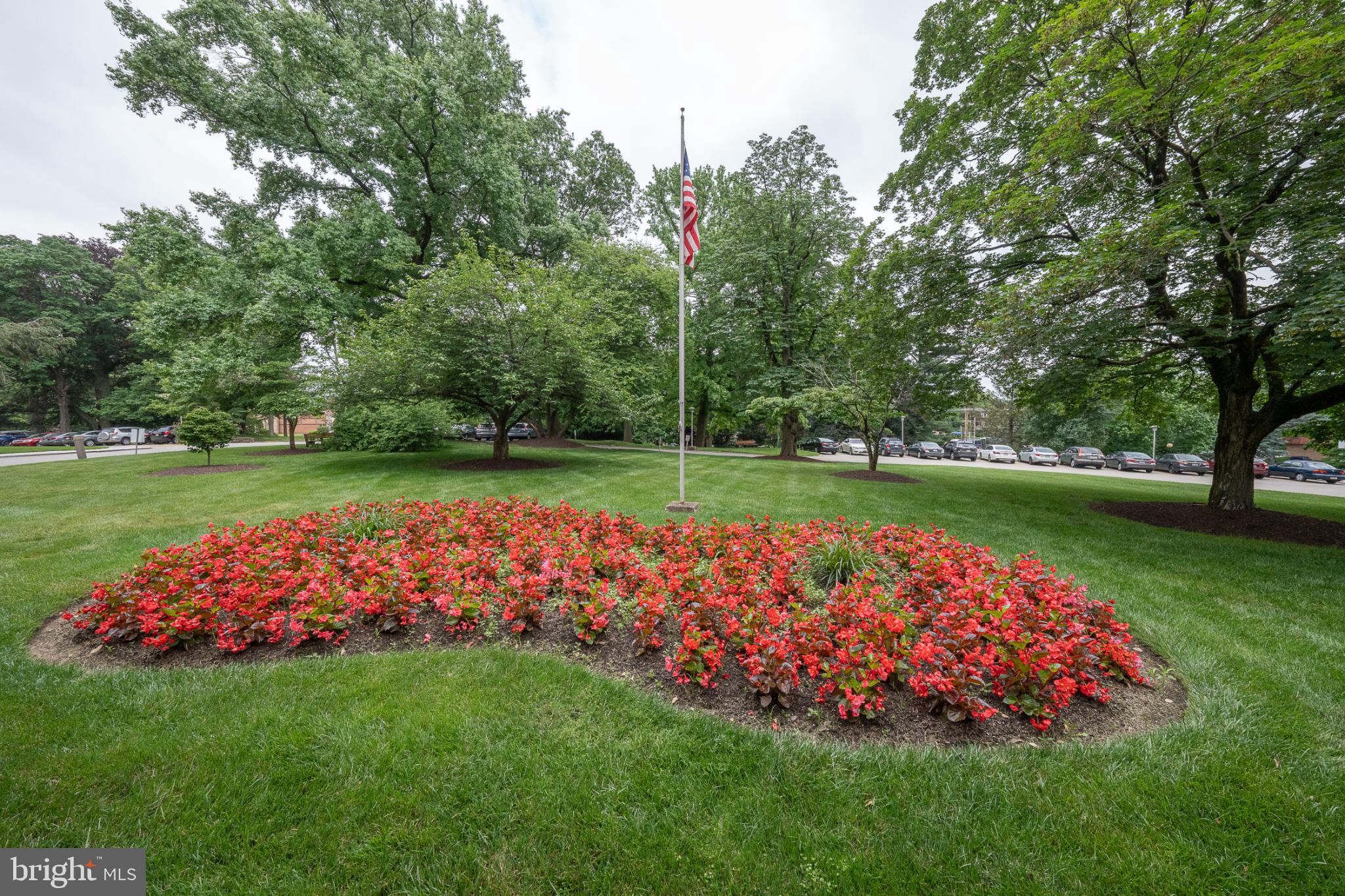 7900 Old York Road, Unit 814A Elkins Park, PA 19027 - Photo 4 of 43 a view of a garden with plants and large trees