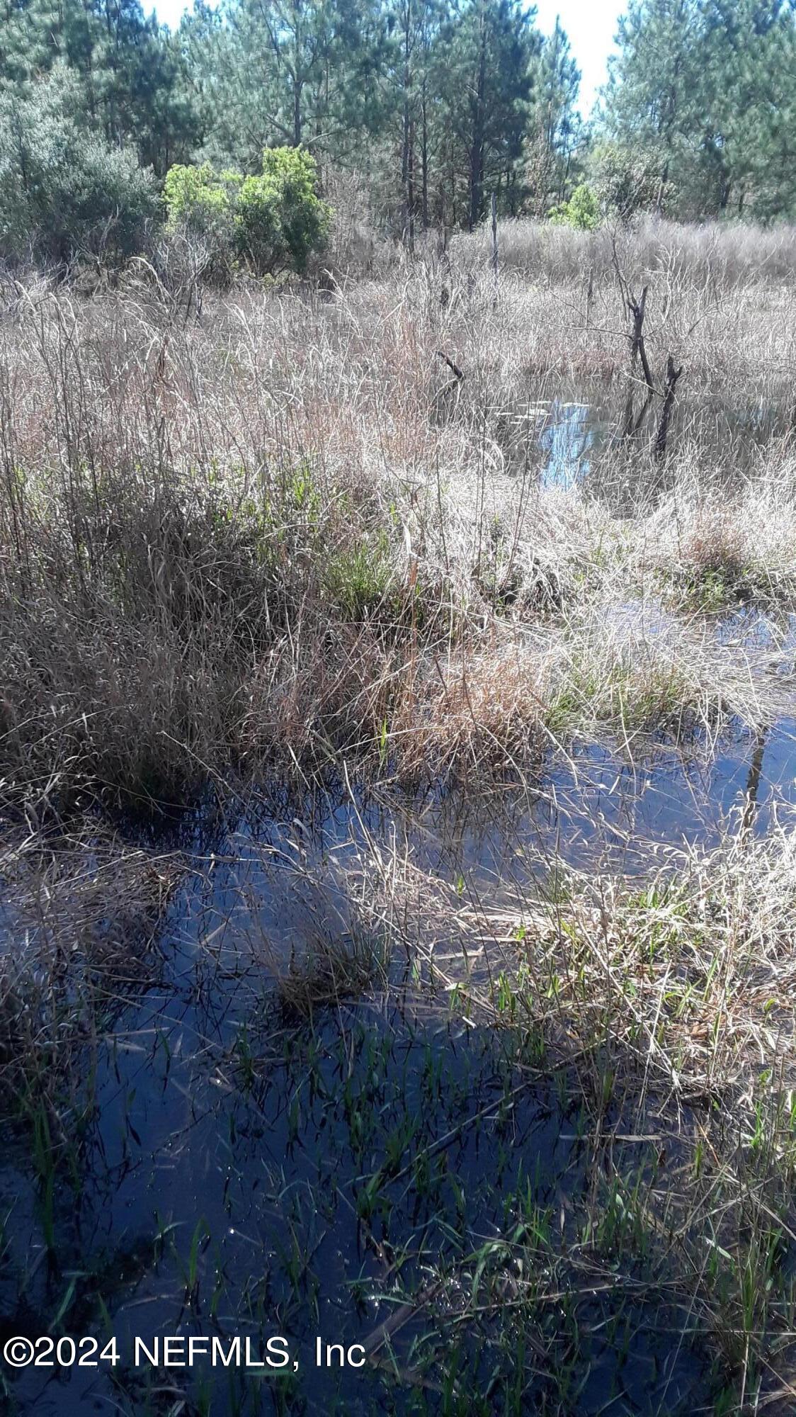 5377 Custer Street Keystone Heights, FL 32656 - Photo 3 of 9 a view of a yard