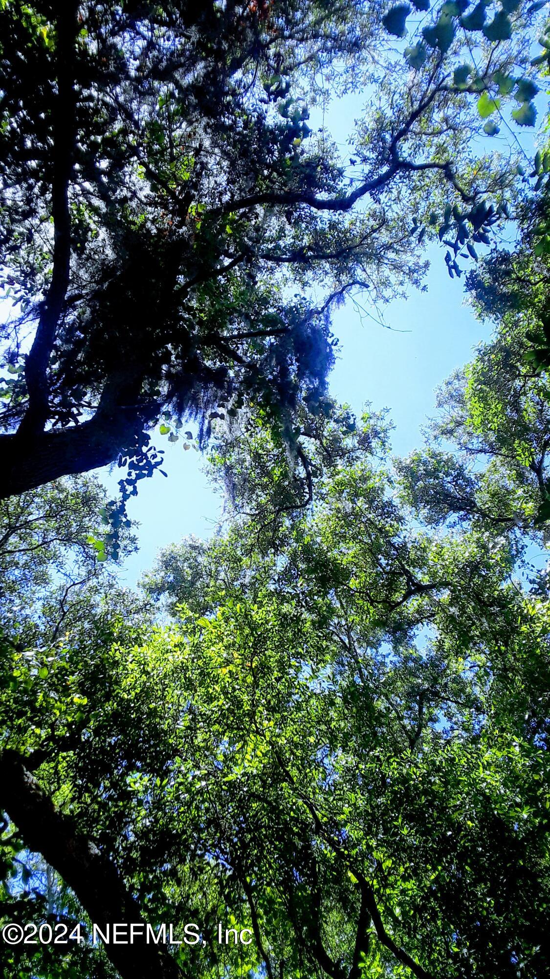 5377 Custer Street Keystone Heights, FL 32656 - Photo 6 of 9