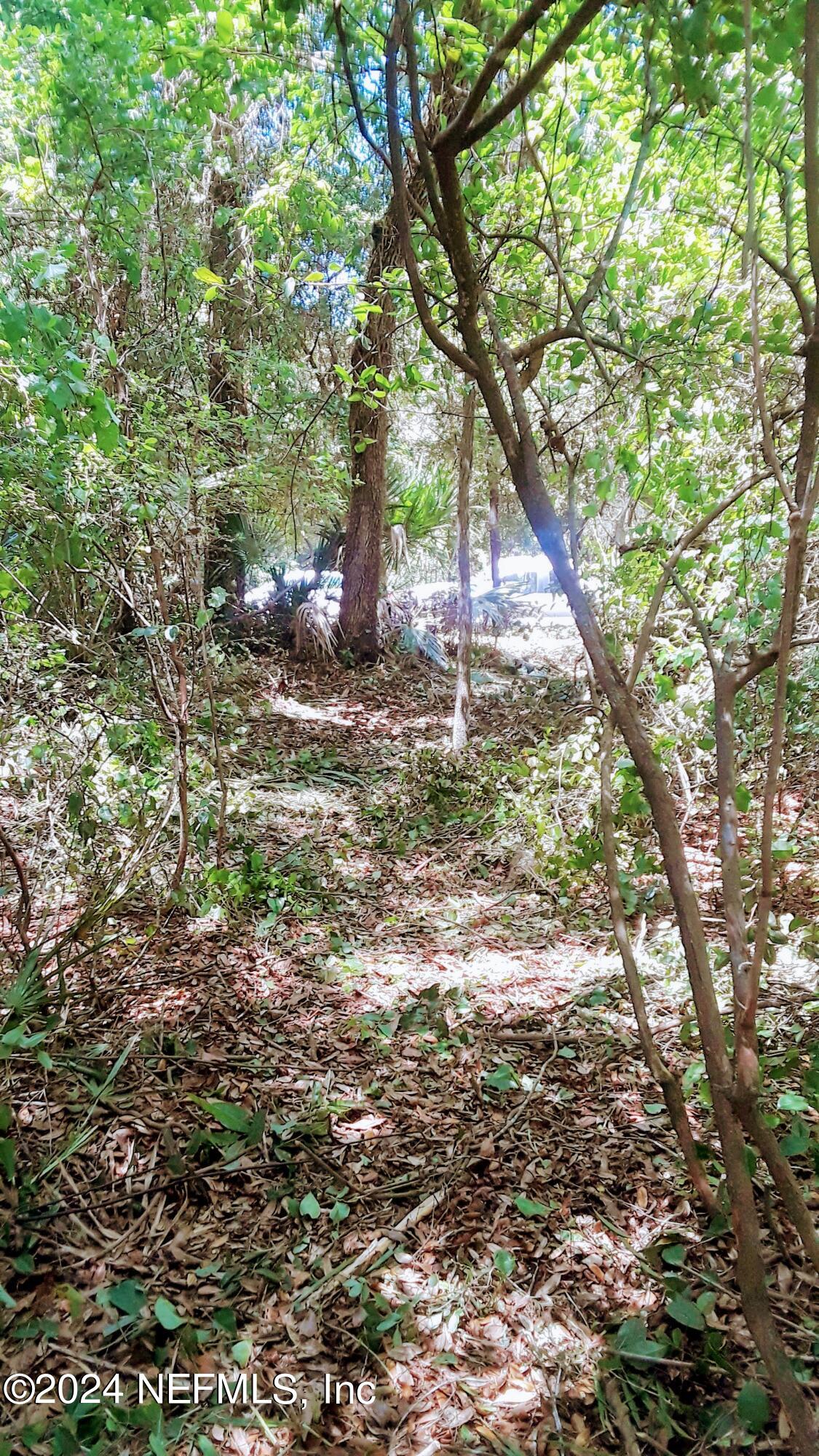 5377 Custer Street Keystone Heights, FL 32656 - Photo 8 of 9 a backyard of a house with lots of green space