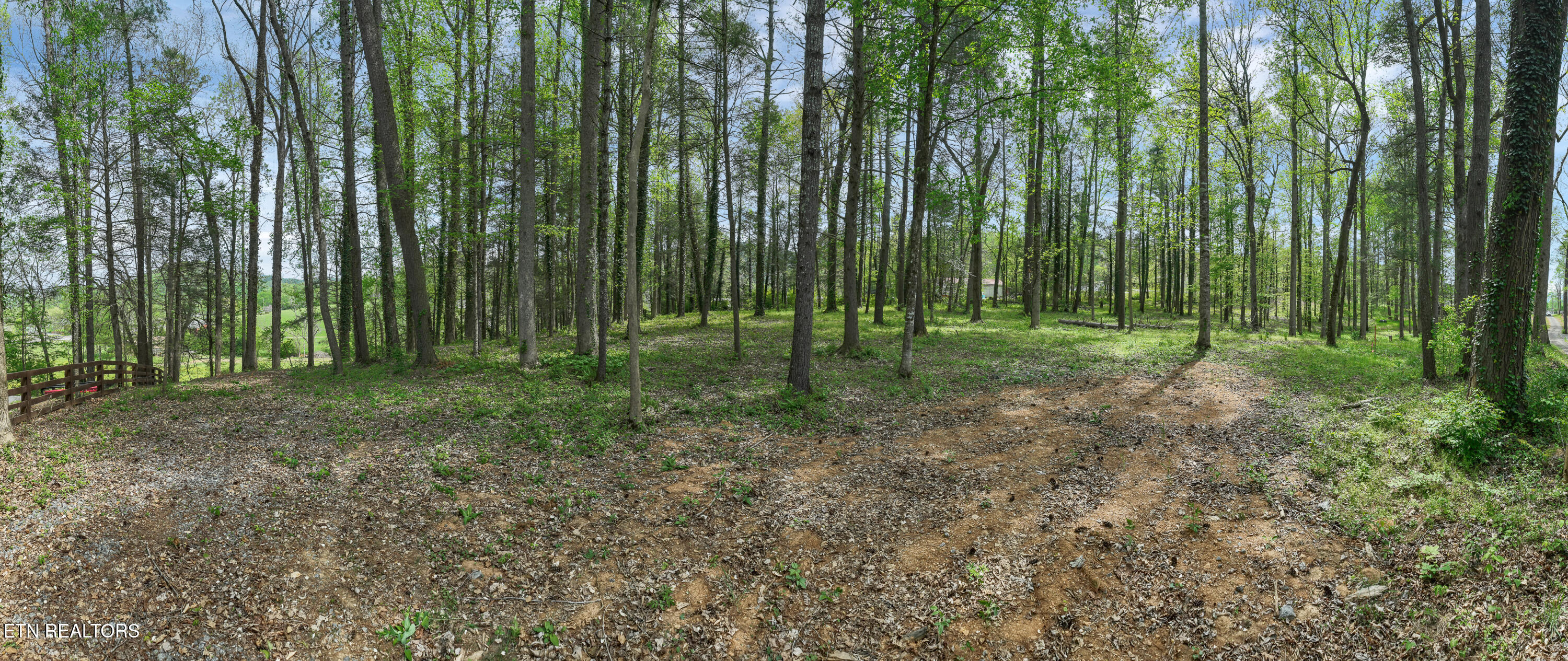 151 Bethel Church Road Townsend, TN 37882 - Photo 2 of 24 DJI_0545