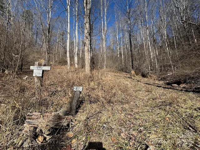 a view of a backyard of the house