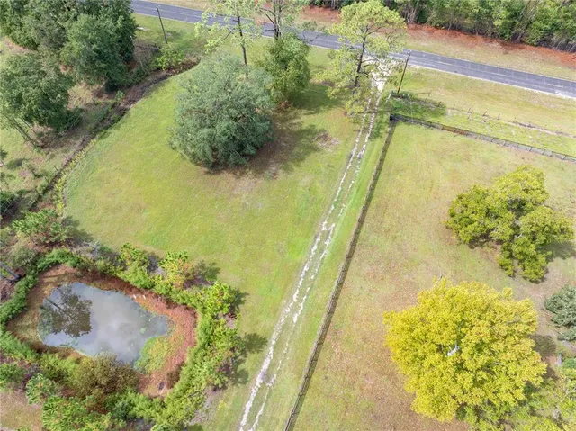 an aerial view of a swimming pool with large trees