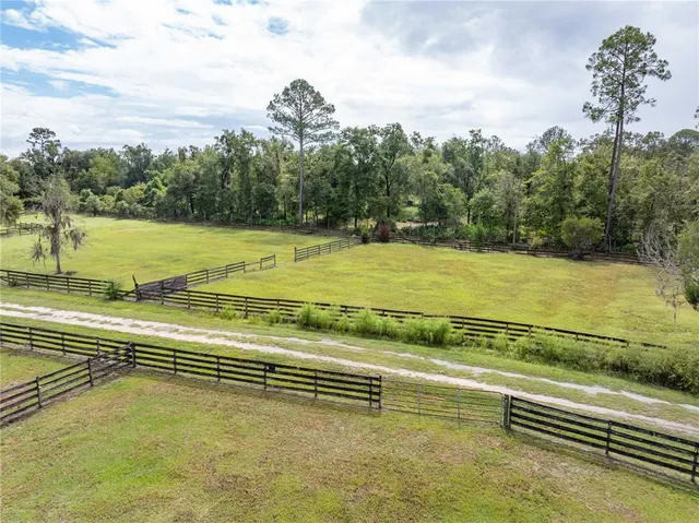 a view of a garden with a bench in the background