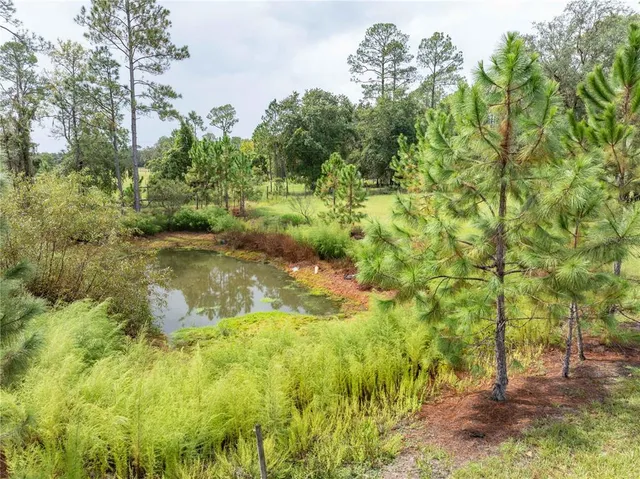 a view of outdoor space with deck and yard